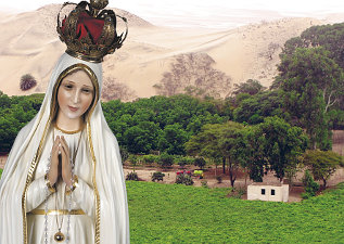 Adquiera aquí Almanaques Fátima 2011